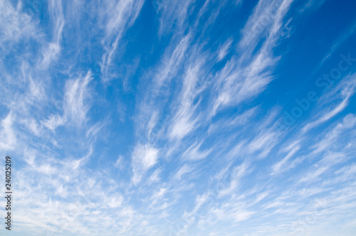 Cirrus clouds