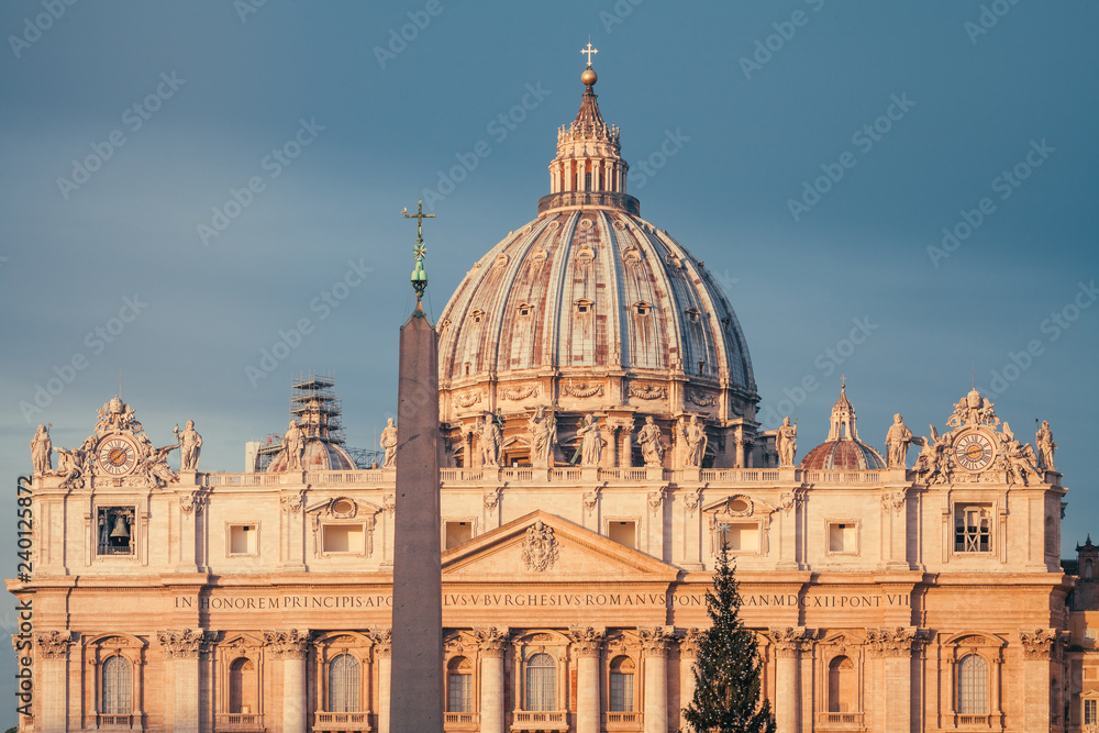 Obraz premium The beautiful big Christmas Tree in Saint Peter Square in front of the Basilica of Saint Peter in Rome, Italy