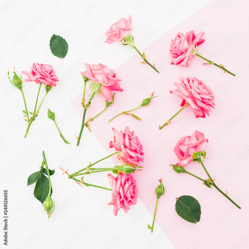 Pink and white background with pink roses flowers. Flat lay. Top view