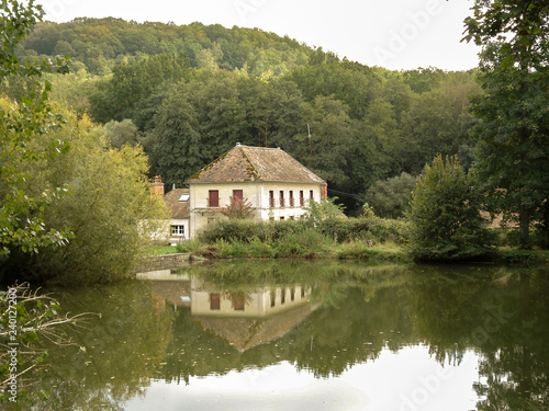 Reflection in water