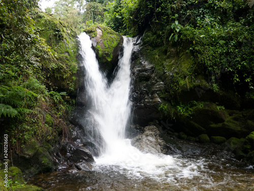 Waterfall in Rwenzori Rain Forest  Uganda