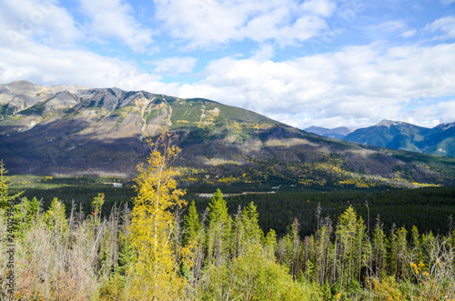 秋のカナディアンロッキー　　黄葉のクートニー・バレー（クートニー国立公園　カナダ　ブリティッシュ・コロンビア州） © tatsuo115