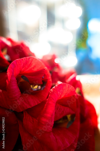 Fototapeta Naklejka Na Ścianę i Meble -  Bouquet of red poppies