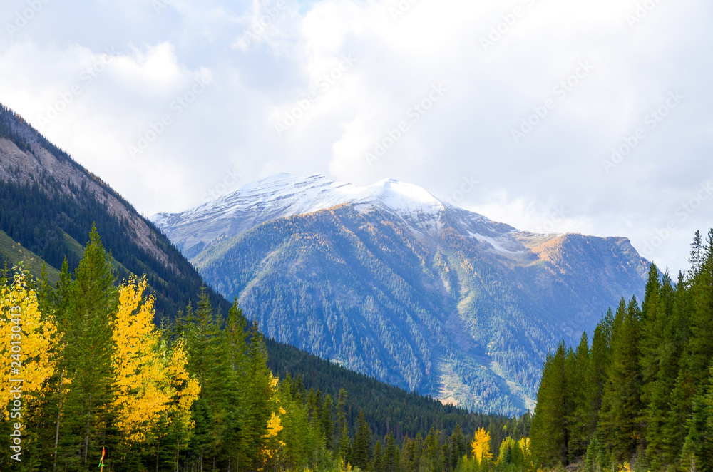 秋のカナディアンロッキー　 黄葉のクートニー・バレーと冠雪（クートニー国立公園　カナダ　ブリティッシュ・コロンビア州）
