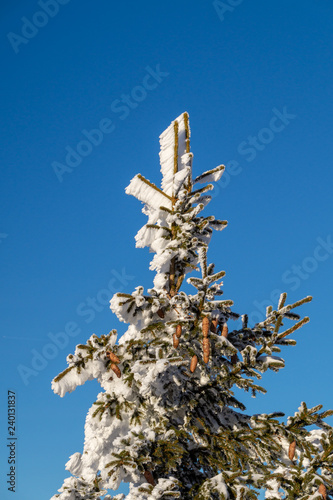 Jenner und Königsee Dezember 2016