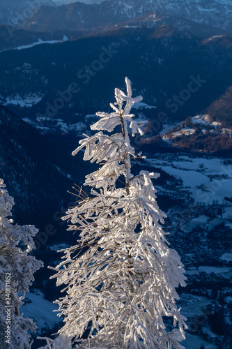Jenner und Königsee Dezember 2016