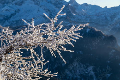 Jenner und Königsee Dezember 2016