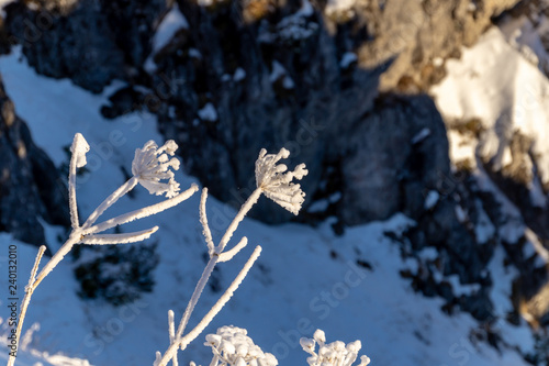 Jenner und Königsee Dezember 2016