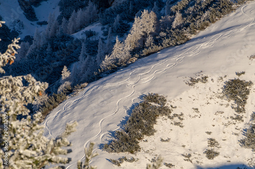 Jenner und Königsee Dezember 2016