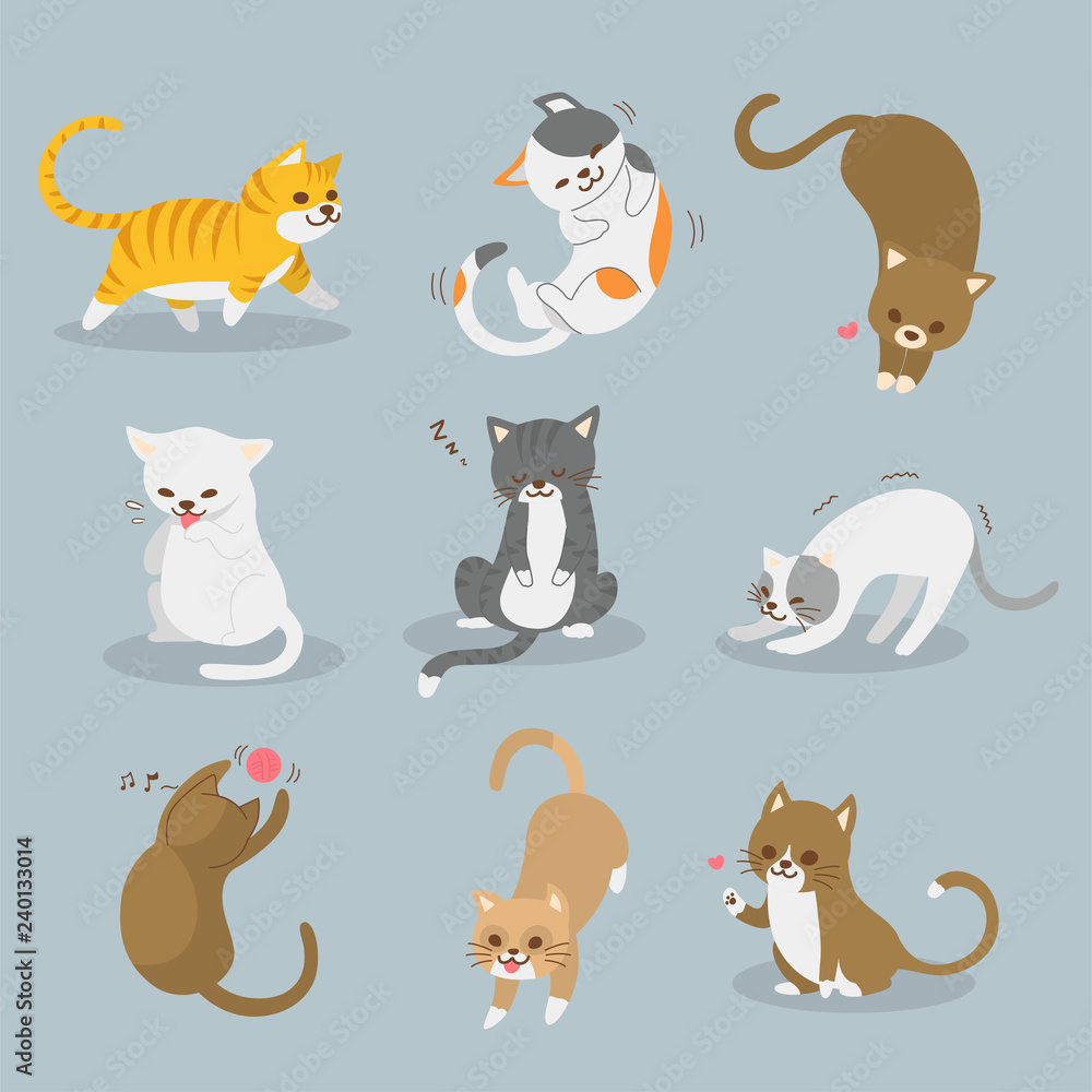Set of cats Concept, flat design vector illustration.