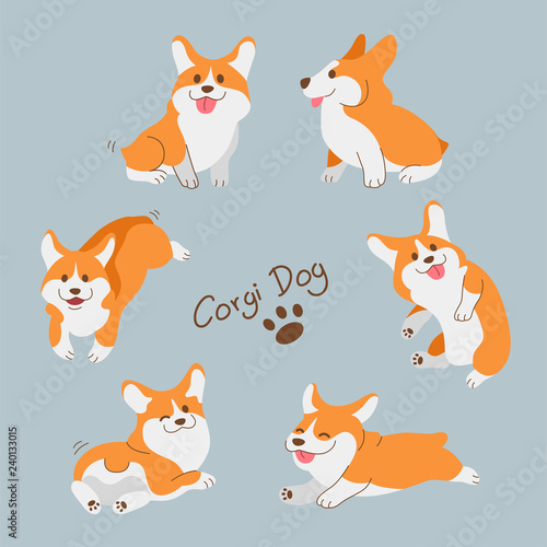 Set of dogs Concept, corgi, flat design vector illustration.