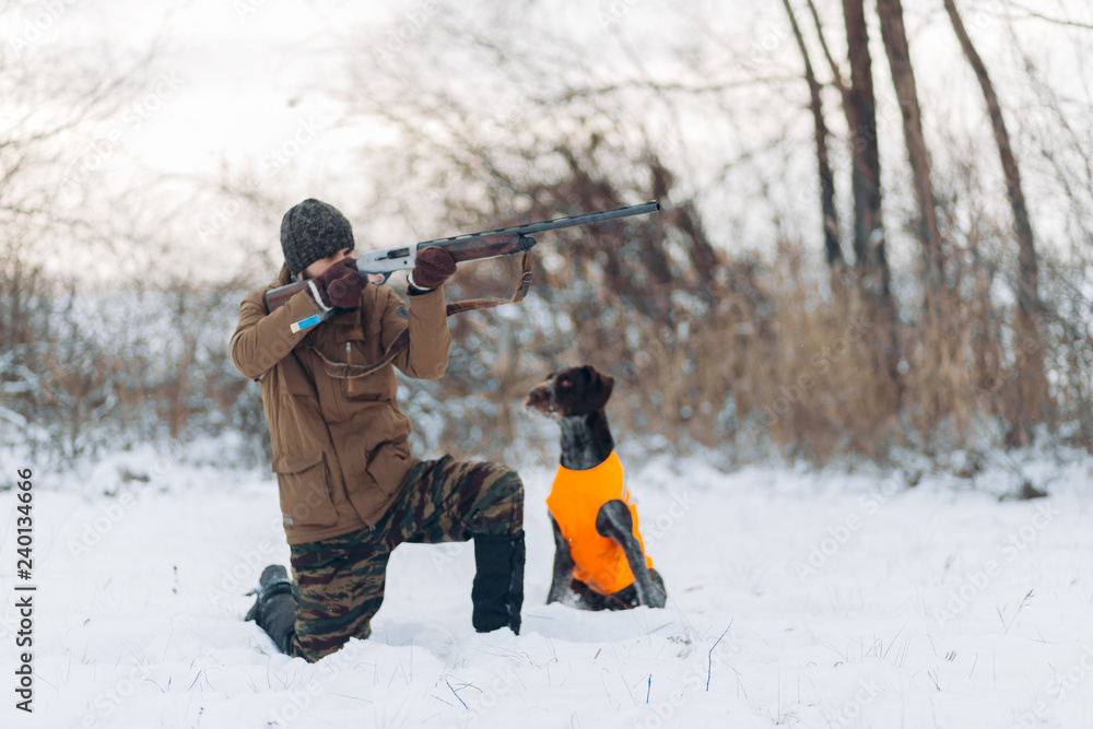 clever dog is looking at her owner who is aiming atthe taget. full length photo