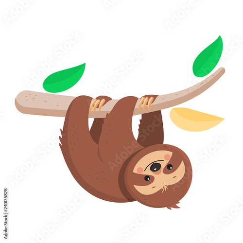 Joyful sloth hanging on a branch. Vector illustration. Cartoon slyle.Isolated on white background