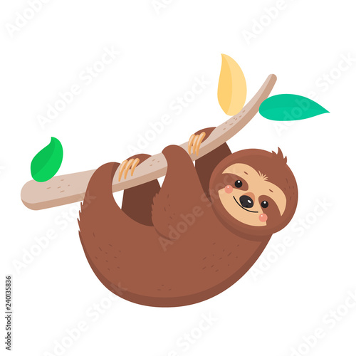 Joyful sloth hanging on a branch. Vector illustration. Cartoon slyle.Isolated on white background