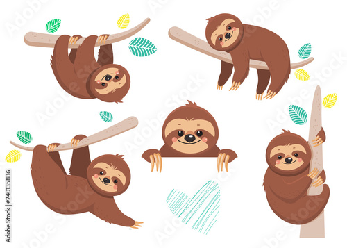 Set of joyful sloth sitting on a branch. Vector illustration. Cartoon slyle.Isolated on white background