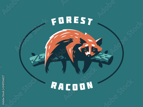 Funny and cute raccoon.