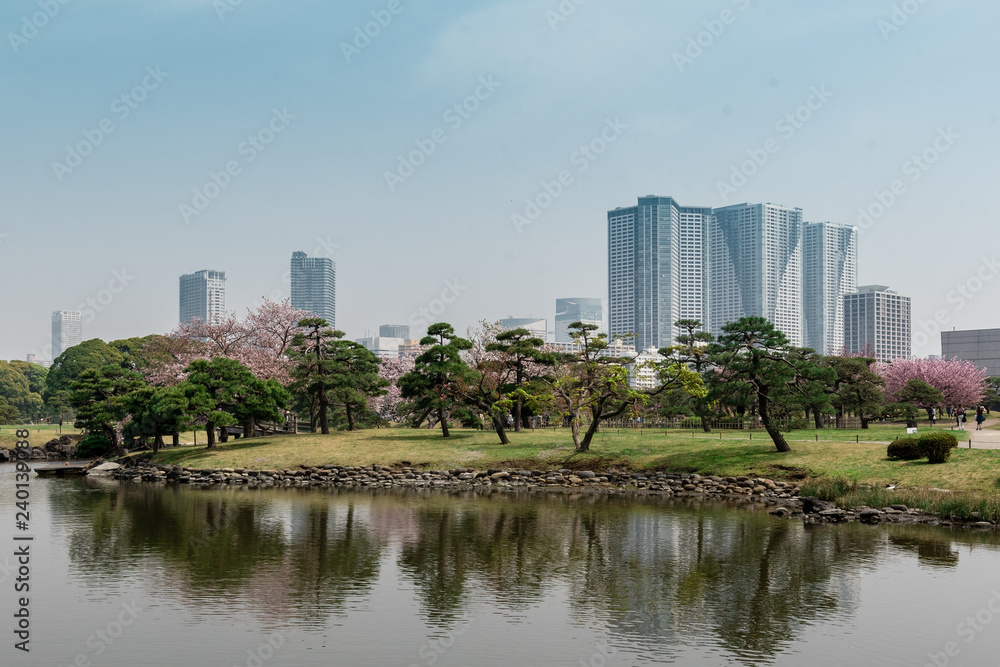 skyline tokyo