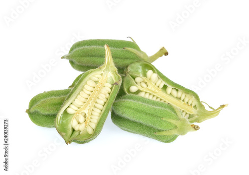 White sesame  isolated on white background.