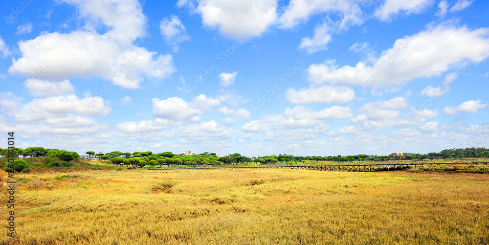 Marshes of Rio Piedras (River Stones) Natural Park in El Rompido, province of Huelva, Andalusia, Spain Marshes of Rio Piedras (River Stones) Natural Park in El Rompido, province of Huelva, Andalusia, Spain