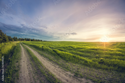Landscape dirt road in a sowing field at sunset