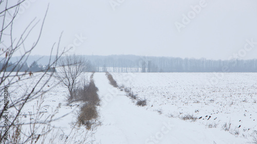 Winter landscape with snow covered countryside.Snow-covered rural fields