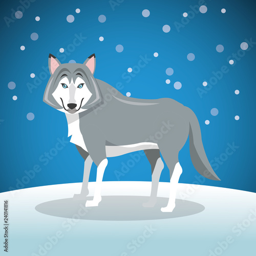 wolf over background image 