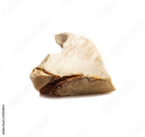 Natural piece of petrified wood in opal on white background isolated