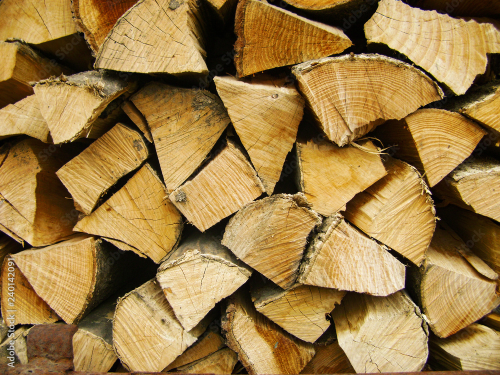 Firewood background, Stacks of firewood in the forest. Pile of firewood. Firewood Dry firewood in a pile for furnace kindling