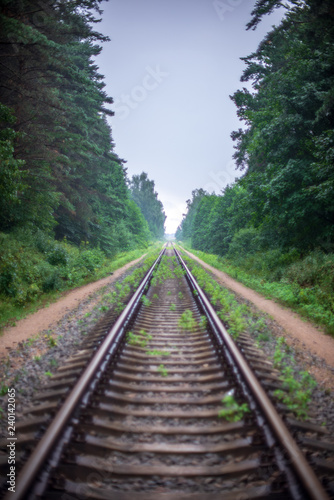railroad tracks in misty forest