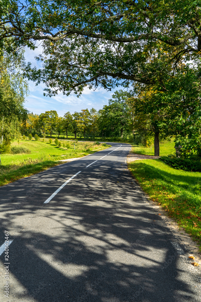 countryside road in summer with large trees on both sides countryside road in summer with large trees on both sides