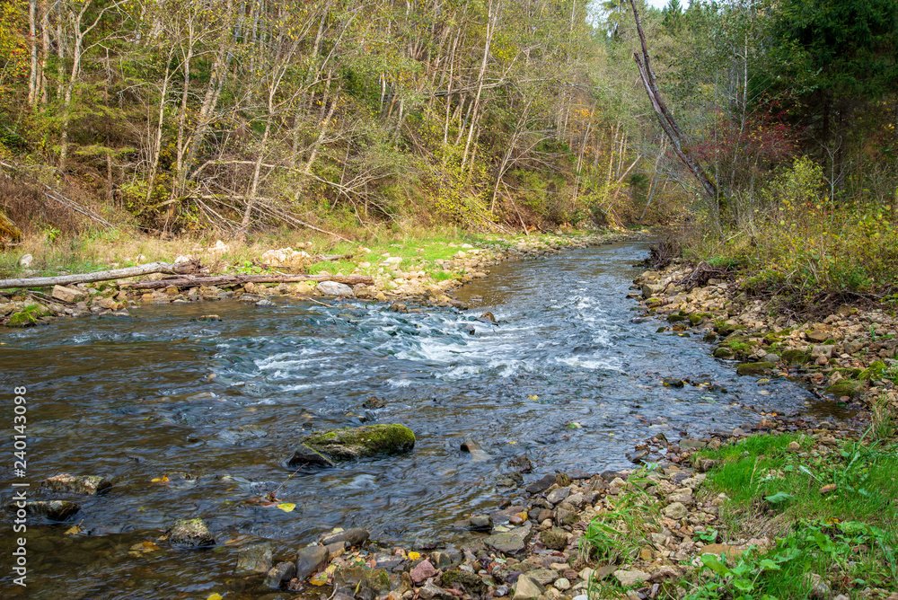 rocky forest river with low stream in summer