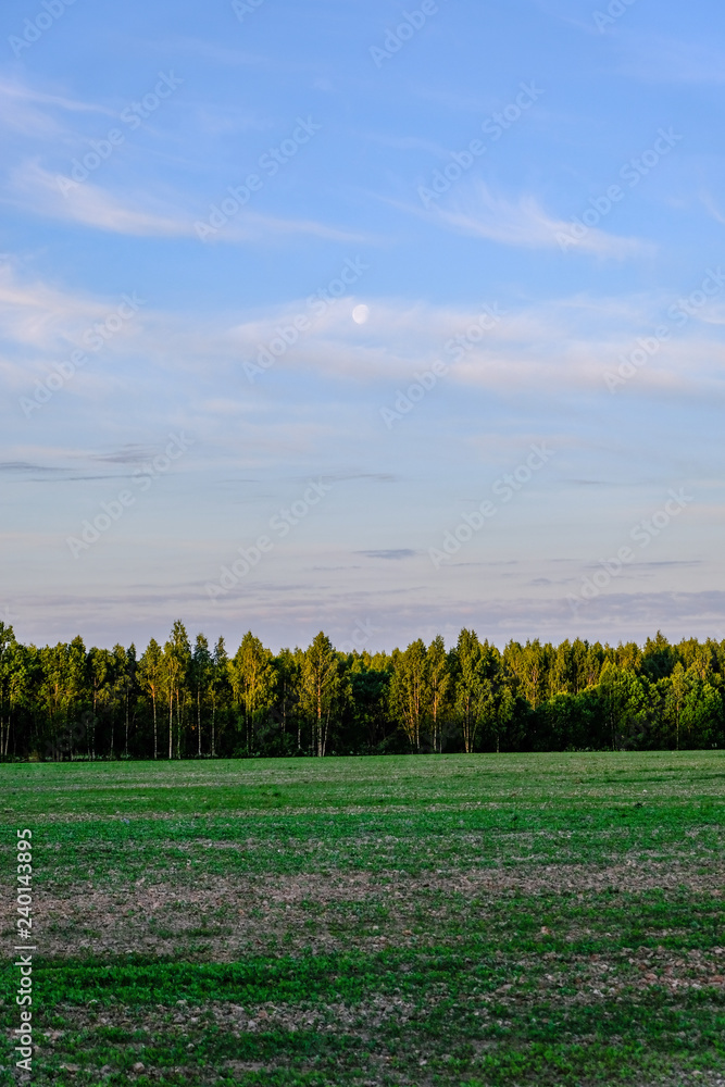 empty countryside landscape in autumn with fields and meadows and rare trees in background