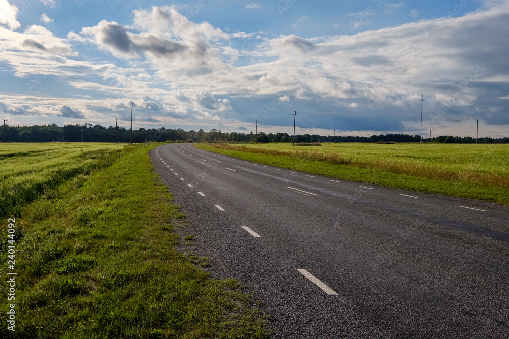 Fototapeta premium countryside road in summer with large trees on both sides