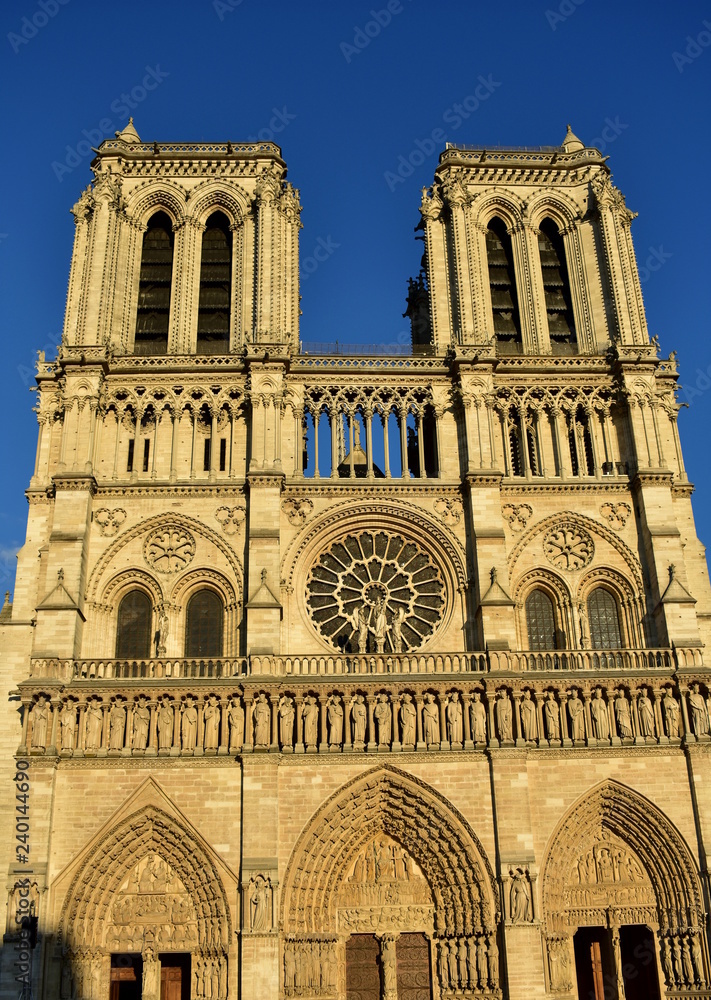 Notre Dame Cathedral, facade with sunset light. Paris, France, sunny day, blue sky.