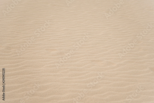 砂 背景素材