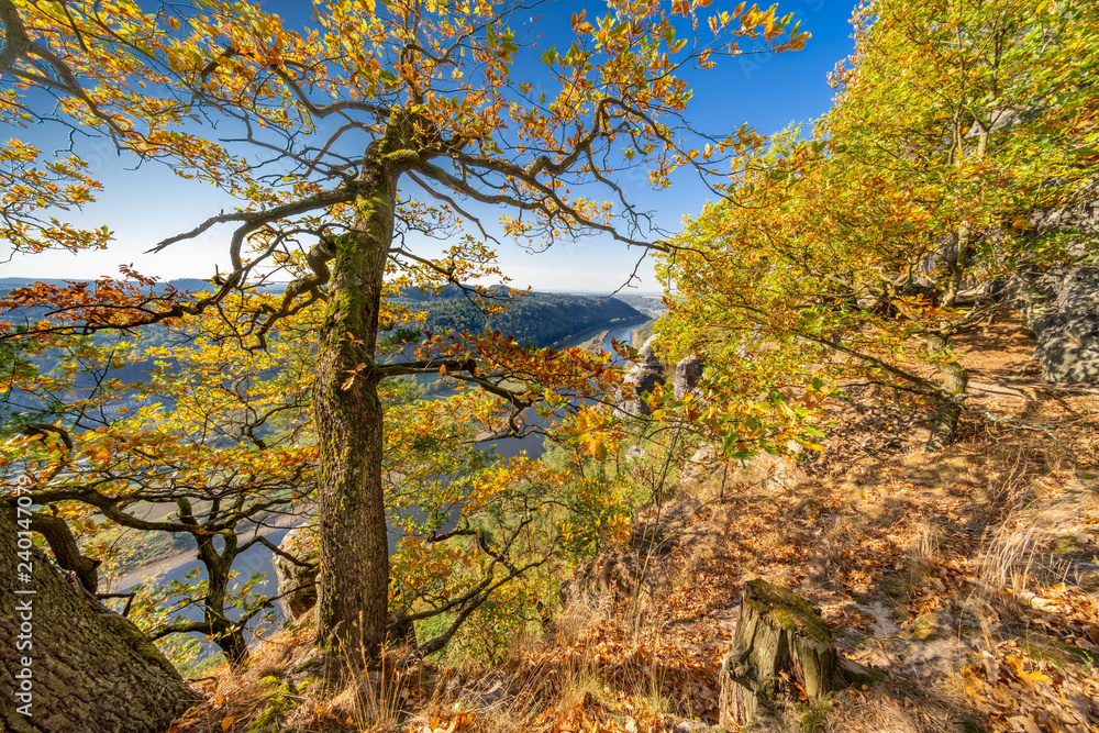 View of the Saxon Switzerland National Park, Germany, (German: Nationalpark Sächsische Schweiz) with the river Elbe from the Bastei Mountain Range.