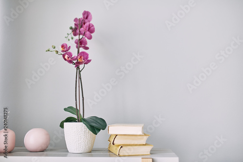 lilac flower is in a pot on the shelf.Interior detail. 