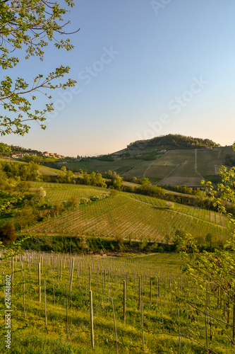 View of vineyard hills with the ancient village of Monforte d'Alba on the top at sunset, Langhe, Piedmont, Italy