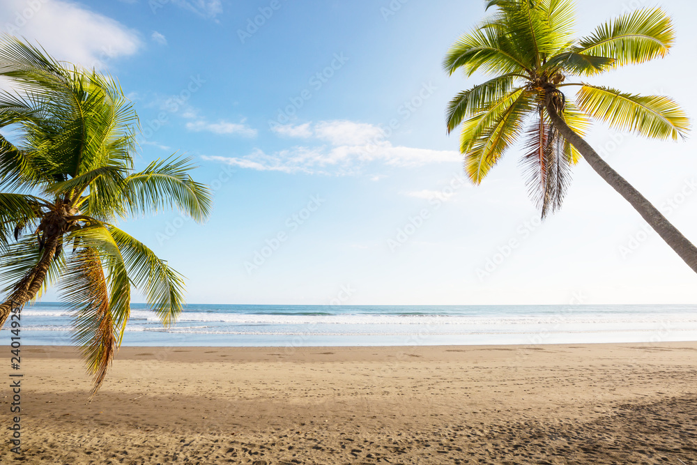 Fototapeta premium Tropical beach
