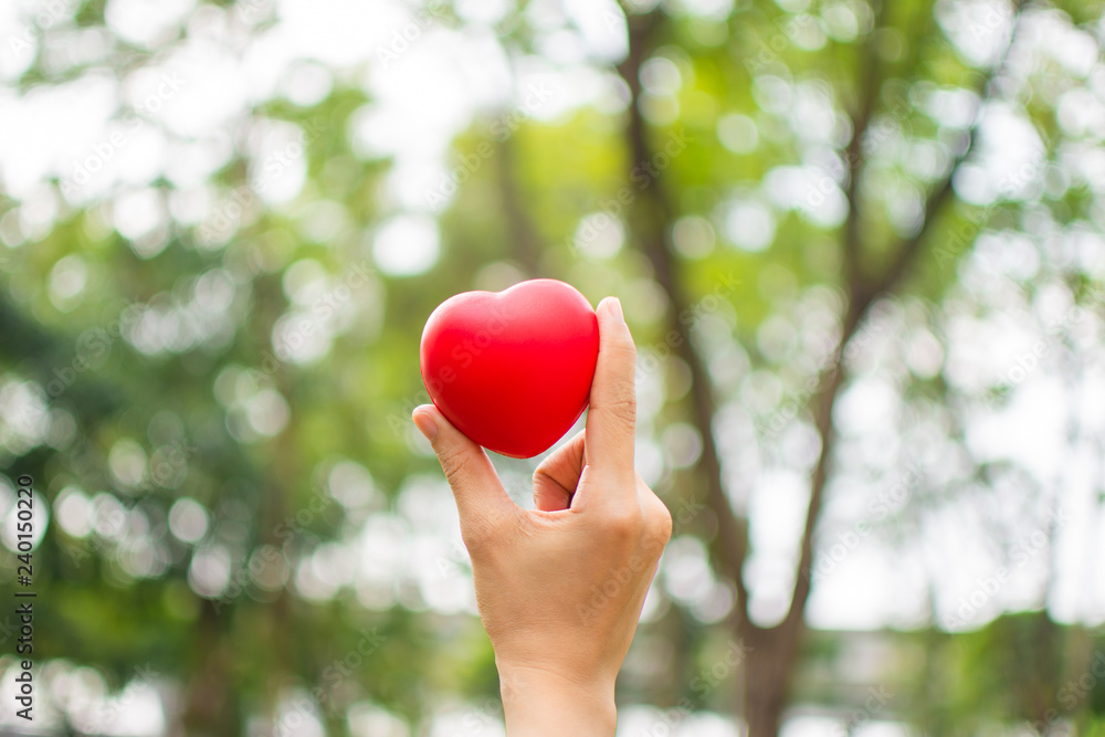 woman's hand holding red heart . selective focus. woman's hand holding red heart . selective focus.