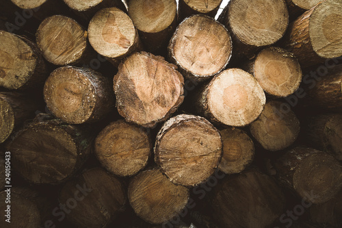 Bale drewna