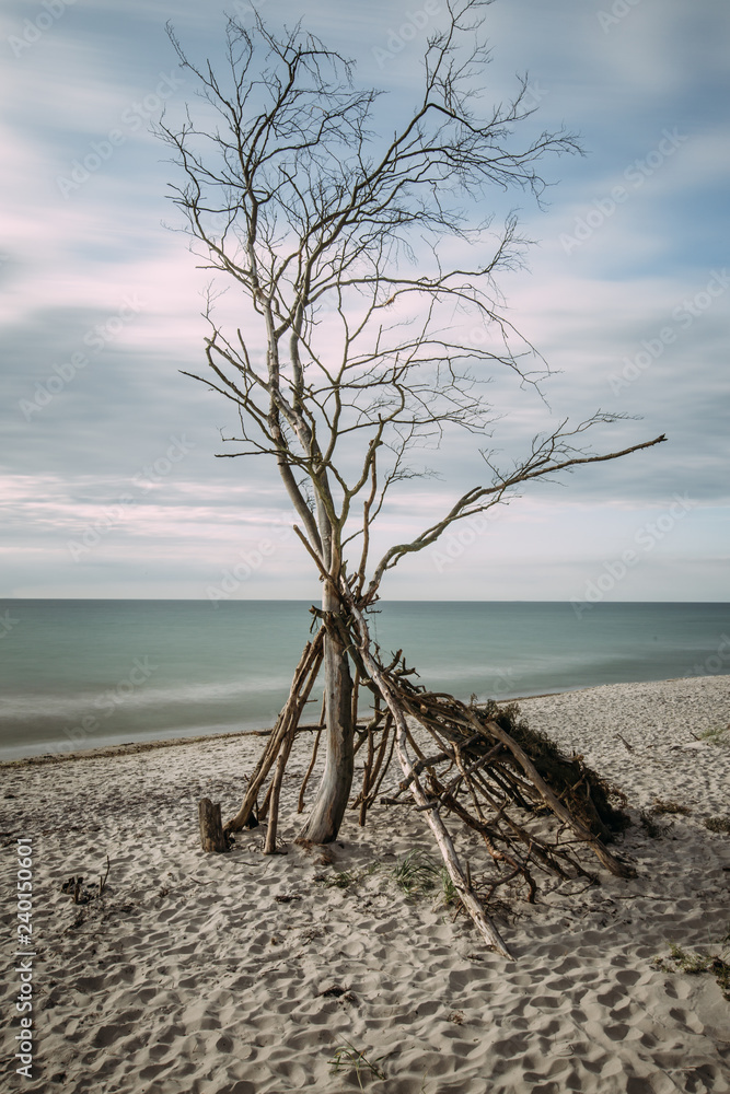 Baltic Sea coast with a knotty tree - long exposure
