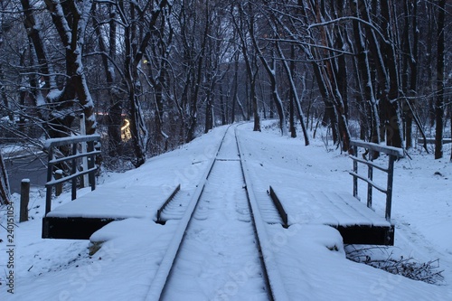 Winter train in the woods photo