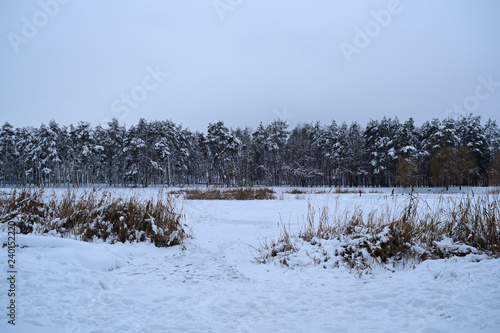 Fototapeta Naklejka Na Ścianę i Meble -  Fabulous view of the winter lake near the forest.