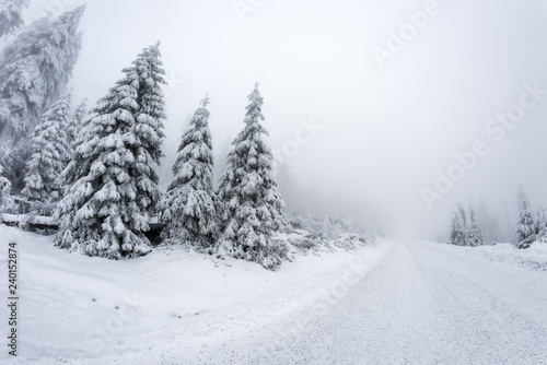 Frosty winter landscape © DZiegler