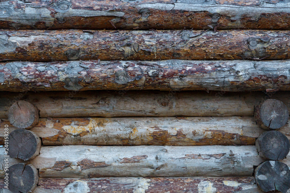 Fragment of a wooden fortress wall from raw logs. Texture.