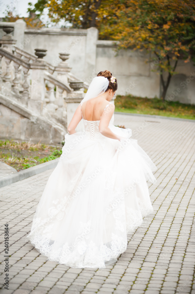 Obraz premium Beautiful bride in wedding dress near castle
