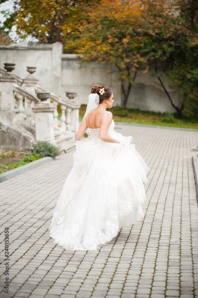 Beautiful bride in wedding dress near castle