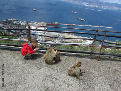 Boy make a photo of monkey and her baby on Gibraltar rock