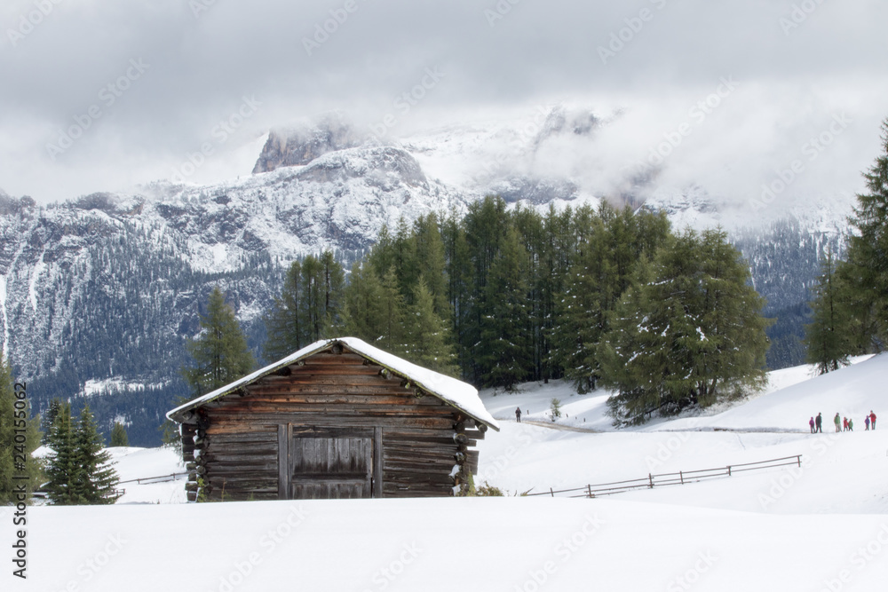 white,blue,house,holiday,forest,snow,sky,tourism,outdoor,travel,mountain,nature,mountains,alpine,landscape,snowy,meadows,log cabin,alps,italy,europe,winter